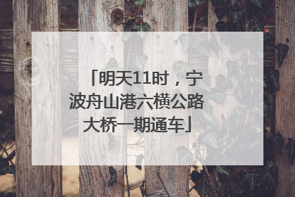 明天11时，宁波舟山港六横公路大桥一期通车