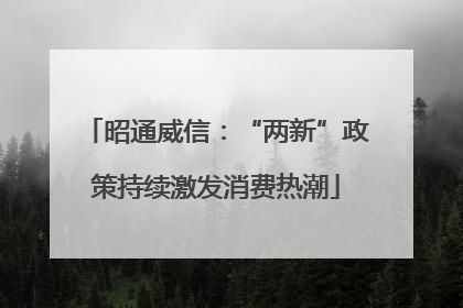 昭通威信：“两新”政策持续激发消费热潮