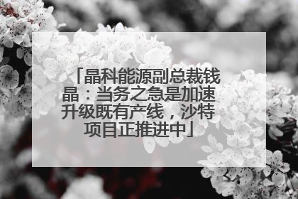 晶科能源副总裁钱晶：当务之急是加速升级既有产线，沙特项目正推进中