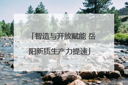智造与开放赋能 岳阳新质生产力提速
