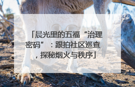 晨光里的五福“治理密码”：跟拍社区巡查，探秘烟火与秩序