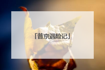 普京遇险记