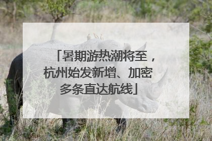 暑期游热潮将至，杭州始发新增、加密多条直达航线
