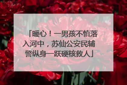 暖心！一男孩不慎落入河中，苏仙公安民辅警纵身一跃硬核救人