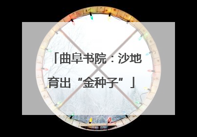 曲阜书院：沙地育出“金种子”