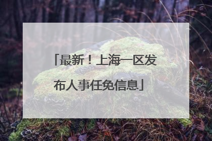 最新！上海一区发布人事任免信息