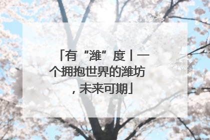 有“潍”度丨一个拥抱世界的潍坊，未来可期