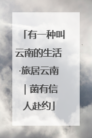 有一种叫云南的生活·旅居云南｜菌有信 人赴约