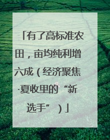 有了高标准农田，亩均纯利增六成（经济聚焦·夏收里的“新选手”）