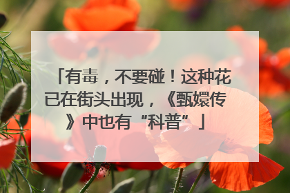 有毒，不要碰！这种花已在街头出现，《甄嬛传》中也有“科普”