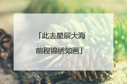 此去星辰大海 前程锦绣如画