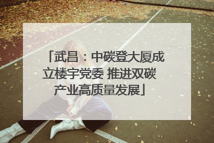 武昌：中碳登大厦成立楼宇党委 推进双碳产业高质量发展