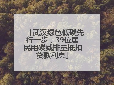 武汉绿色低碳先行一步，39位居民用碳减排量抵扣贷款利息