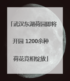 武汉东湖荷园即将开园 1200余种荷花竞相绽放