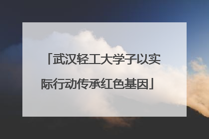 武汉轻工大学子以实际行动传承红色基因