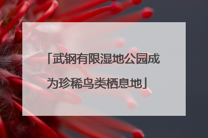 武钢有限湿地公园成为珍稀鸟类栖息地