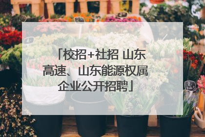 校招+社招 山东高速、山东能源权属企业公开招聘