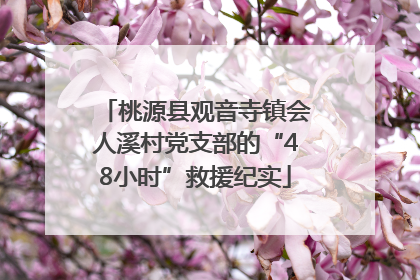 桃源县观音寺镇会人溪村党支部的“48小时”救援纪实