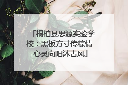 桐柏县思源实验学校：黑板方寸传粽情 心灵向阳沐古风