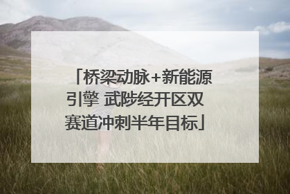 桥梁动脉+新能源引擎 武陟经开区双赛道冲刺半年目标