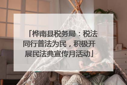 桦南县税务局：税法同行普法为民，积极开展民法典宣传月活动