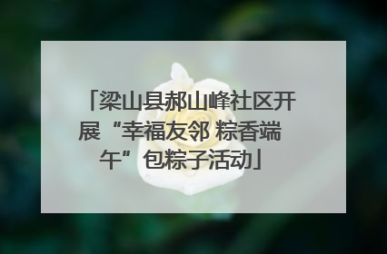 梁山县郝山峰社区开展“幸福友邻 粽香端午”包粽子活动