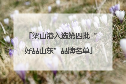 梁山港入选第四批“好品山东”品牌名单