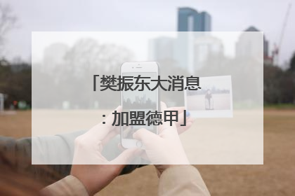 樊振东大消息：加盟德甲