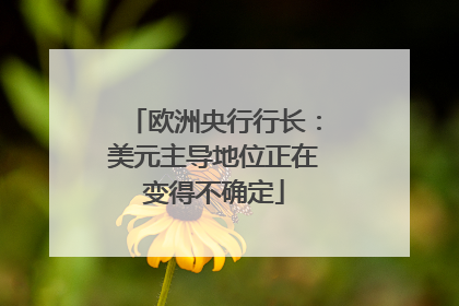 欧洲央行行长：美元主导地位正在变得不确定