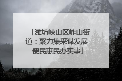 潍坊峡山区岞山街道：聚力集采谋发展 便民惠民办实事