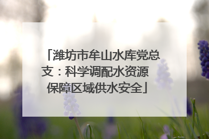 潍坊市牟山水库党总支：科学调配水资源 保障区域供水安全