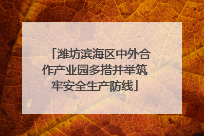 潍坊滨海区中外合作产业园多措并举筑牢安全生产防线