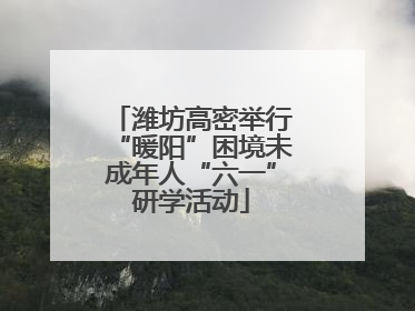 潍坊高密举行“暖阳”困境未成年人“六一”研学活动