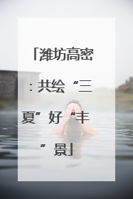 潍坊高密：共绘“三夏”好“丰”景