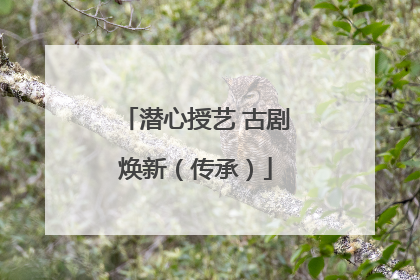 潜心授艺 古剧焕新（传承）
