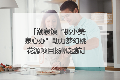 潮泉镇“桃小美·泉心办”助力梦幻桃花源项目扬帆起航