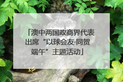 澳中两国政商界代表出席“以球会友·同贺端午”主题活动