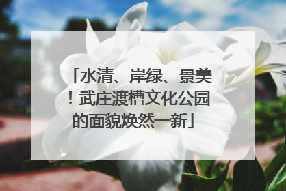 水清、岸绿、景美！武庄渡槽文化公园的面貌焕然一新
