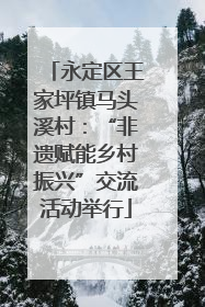 永定区王家坪镇马头溪村：“非遗赋能乡村振兴”交流活动举行