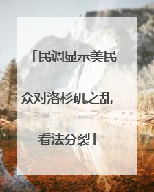 民调显示美民众对洛杉矶之乱看法分裂