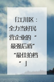 江川区：全力当好民营企业的“最强后盾”“最佳拍档”