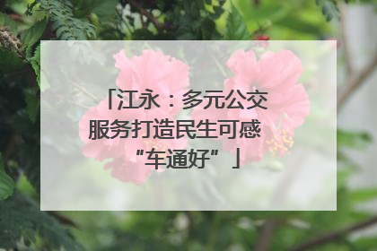 江永：多元公交服务打造民生可感“车通好”