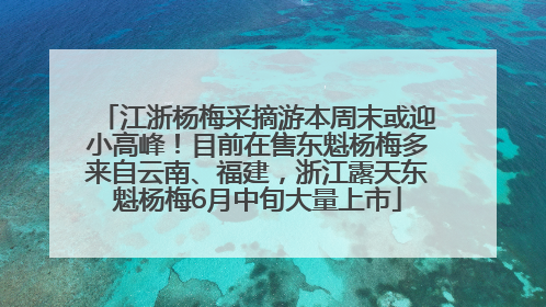 江浙杨梅采摘游本周末或迎小高峰！目前在售东魁杨梅多来自云南、福建，浙江露天东魁杨梅6月中旬大量上市
