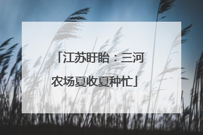 江苏盱眙：三河农场夏收夏种忙