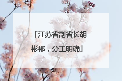 江苏省副省长胡彬郴，分工明确