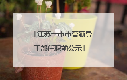 江苏一市市管领导干部任职前公示