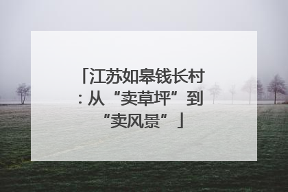 江苏如皋钱长村：从“卖草坪”到“卖风景”