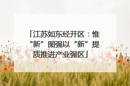 江苏如东经开区：惟“新”图强以“新”提质推进产业强区