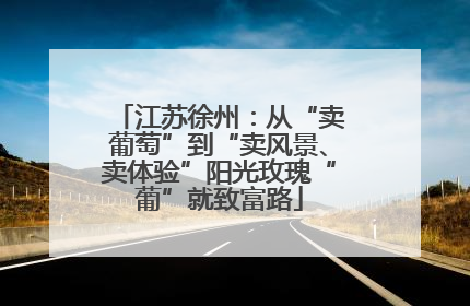 江苏徐州：从“卖葡萄”到“卖风景、卖体验”阳光玫瑰“葡”就致富路