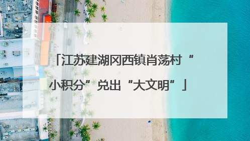 江苏建湖冈西镇肖荡村“小积分”兑出“大文明”